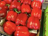 Venta fruta y verdura - foto 1