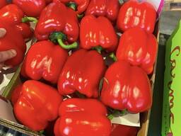 Venta fruta y verdura