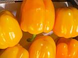 Venta fruta y verdura - foto 2