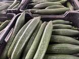 Venta fruta y verdura - foto 6