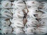 Whole Clean Octopus — Frozen - photo 2