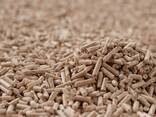Wood pellets Enplus A1 - photo 2